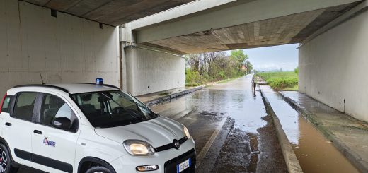 Attività di controllo da parte del personale provinciale.