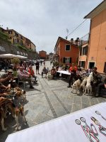 Il 25° Campionato italiano assoluto su cinghiale in muta a Murazzano