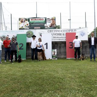 La premazione del Trofeo Langhe e Roero per cani da soccorso