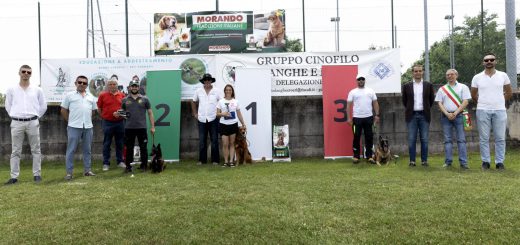 La premazione del Trofeo Langhe e Roero per cani da soccorso