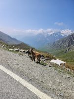 La riapertura del colle dell'Agnello fino al confine di stato