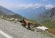 La riapertura del colle dell'Agnello fino al confine di stato