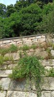 Costruzione scogliera sulla sp269 in frazione Agliasco di Paesana