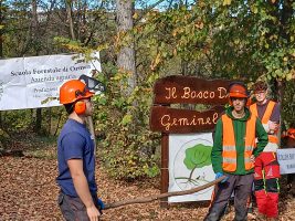 L'inaugurazione del cantiere didattico nel Bosco di Geminella