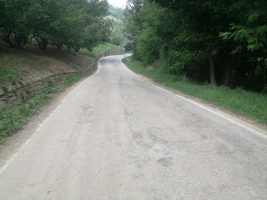 Un tratto della sp 114 -Cortemilia