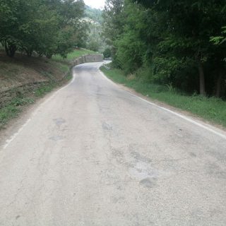 Un tratto della sp 114 -Cortemilia