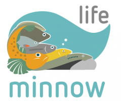 Il logo del progetto "Life Minnow"