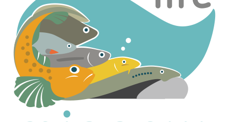 Il logo del progetto Life Minnow