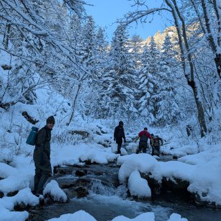 Il personale della Provincia in Valle Stura per il prelievo dei gameti delle trote fario di ceppo mediterraneo