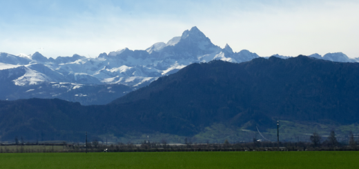 Il Monviso visto dalla pianura