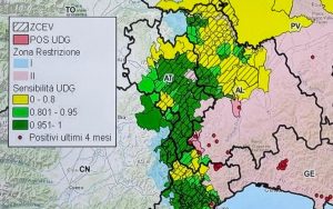 La carta con le zone di restrizione