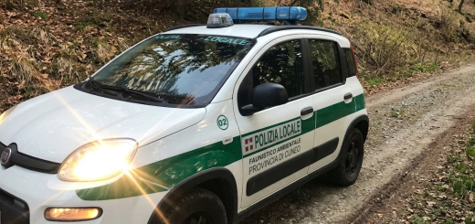 Un'auto della Polizia Locale della Provincia di Cuneo