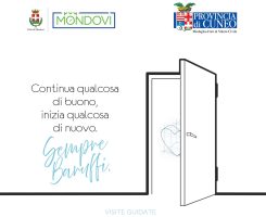 Il logo dell'iniziativa "Grazie Baruffi"