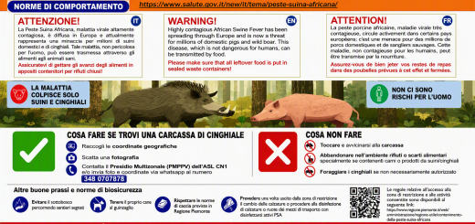 Banner Norme di comportamento in una zona di restrizione