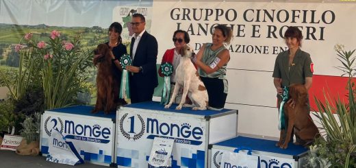 Il consigliere Manzone alle premiazioni dell'Esposizione cinofila di Bra