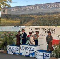 Il consigliere Manzone alle premiazioni dell'Esposizione cinofila di Bra