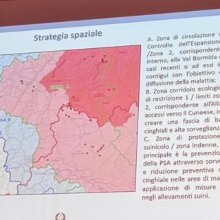 Il Commissario straordinario alla PSA Giovanni Filippini illustra la suddivisione delle zone di restrizione in un recente incotnro pubblico a Ceva