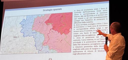 Il Commissario straordinario alla PSA Giovanni Filippini illustra la suddivisione delle zone di restrizione in un recente incotnro pubblico a Ceva