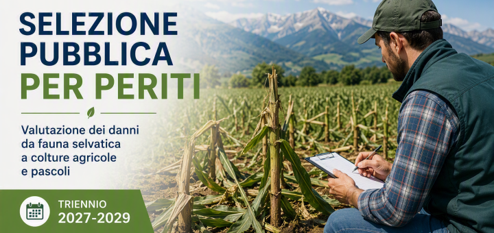 Banner selezione pubblica per periti