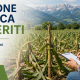 Banner selezione pubblica per periti