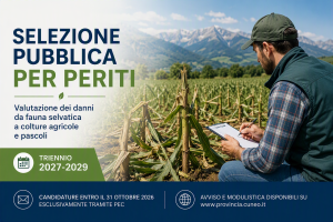 Banner selezione pubblica per periti