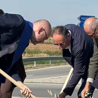 La piantumazione dell'ulivo nella rotatoria di via Otteria