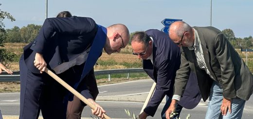 La piantumazione dell'ulivo nella rotatoria di via Otteria