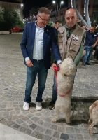 Il vicepresidente Massimo Antoniotti al Capodanno del Tartufo ad Alba
